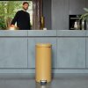 221738 1 pedalovy odpadkovy kos newicon 30 l teple zlata ocel brabantia