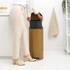 221840 3 pedalovy odpadkovy kos newicon 30 l teple mosazna ocel brabantia