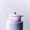 224814 3 kastrol signature 20 cm 2 4 l shell pink litina le creuset