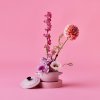 223740 2 zapekaci misa 10 cm 250 ml shell pink kamenina le creuset