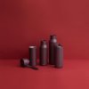 228514 1 cestovni hrnek to go 350 ml fikove fialova nerezova ocel eva trio