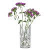 228792 5 vaza noblesse 23 cm sklo nachtmann