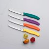 229227 1 nuz na rajcata swiss classic 11 cm cervena plast victorinox