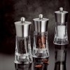138410 1 mlynek na chilli nerez akryl 14 cm ouessant peugeot