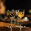 231733 2 sklenice na martini tone 182 ml sada 4 ks zwiesel glas