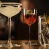 231742 sklenice nick nora tone 172 ml sada 4 ks zwiesel glas