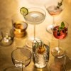 231748 2 sklenice na koktejly tone 246 ml sada 4 ks zwiesel glas