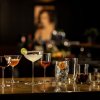 231748 3 sklenice na koktejly tone 246 ml sada 4 ks zwiesel glas