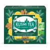 233000 bio mate bylinny caj se zazvorem a citronem 20 muselinovych sacku kusmi tea
