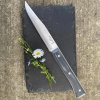 231994 1 jidelni nuz facette 11 cm sada 4 ks bridlicova opinel