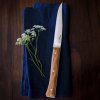 231997 1 jidelni nuz facette 11 cm sada 4 ks olivove drevo opinel