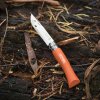 232489 1 kapesni nuz n 07 bushwacker 8 cm oranzova habrove drevo opinel