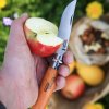 232543 1 opinel classique thvallier 82