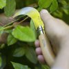 232534 1 prorezavaci nuz n 10 10 cm prirodni bukove drevo opinel