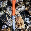 232510 5 nuz na ustrice n 09 6 5 cm drevo padouk opinel