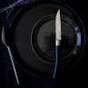232024 1 steakovy nuz 10 cm sada 4 ks ebenove drevo opinel