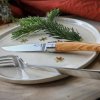 232027 2 steakovy nuz 10 cm sada 4 ks olivove drevo opinel